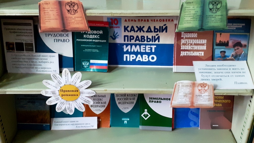 Студенты СГУ стали призёрами и победителями номинаций «Российской студенческой весны - 2023»