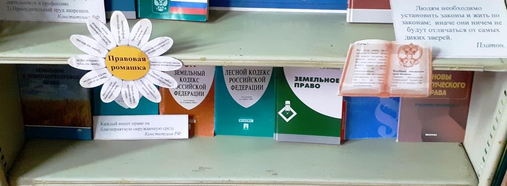 Студенты СГУ стали призёрами и победителями номинаций «Российской студенческой весны - 2023»