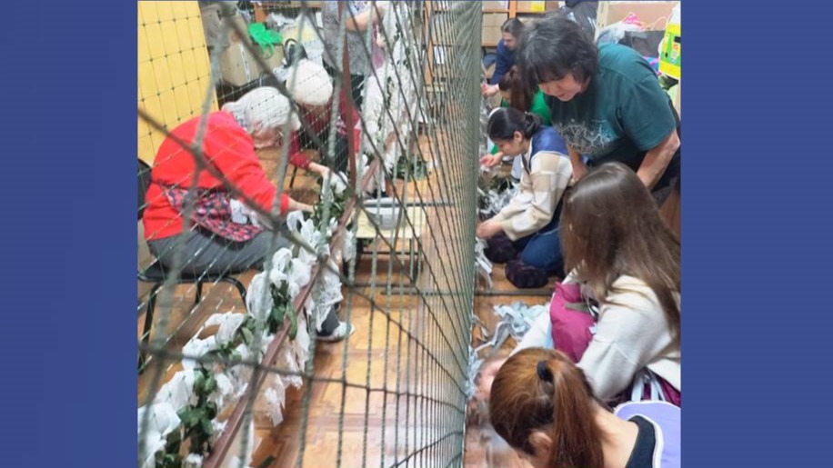 Студенты СГУ стали призёрами и победителями номинаций «Российской студенческой весны - 2023»