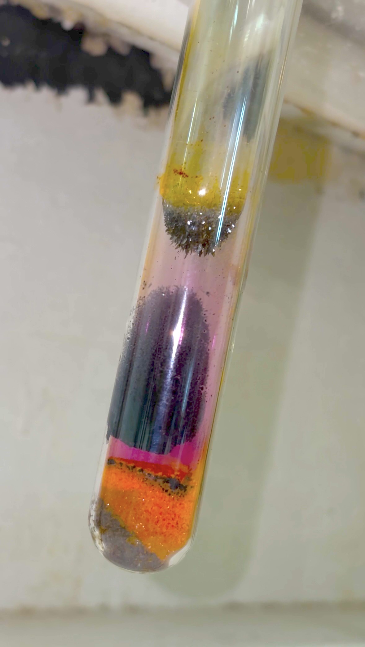 Студенты СГУ стали призёрами и победителями номинаций «Российской студенческой весны - 2023»