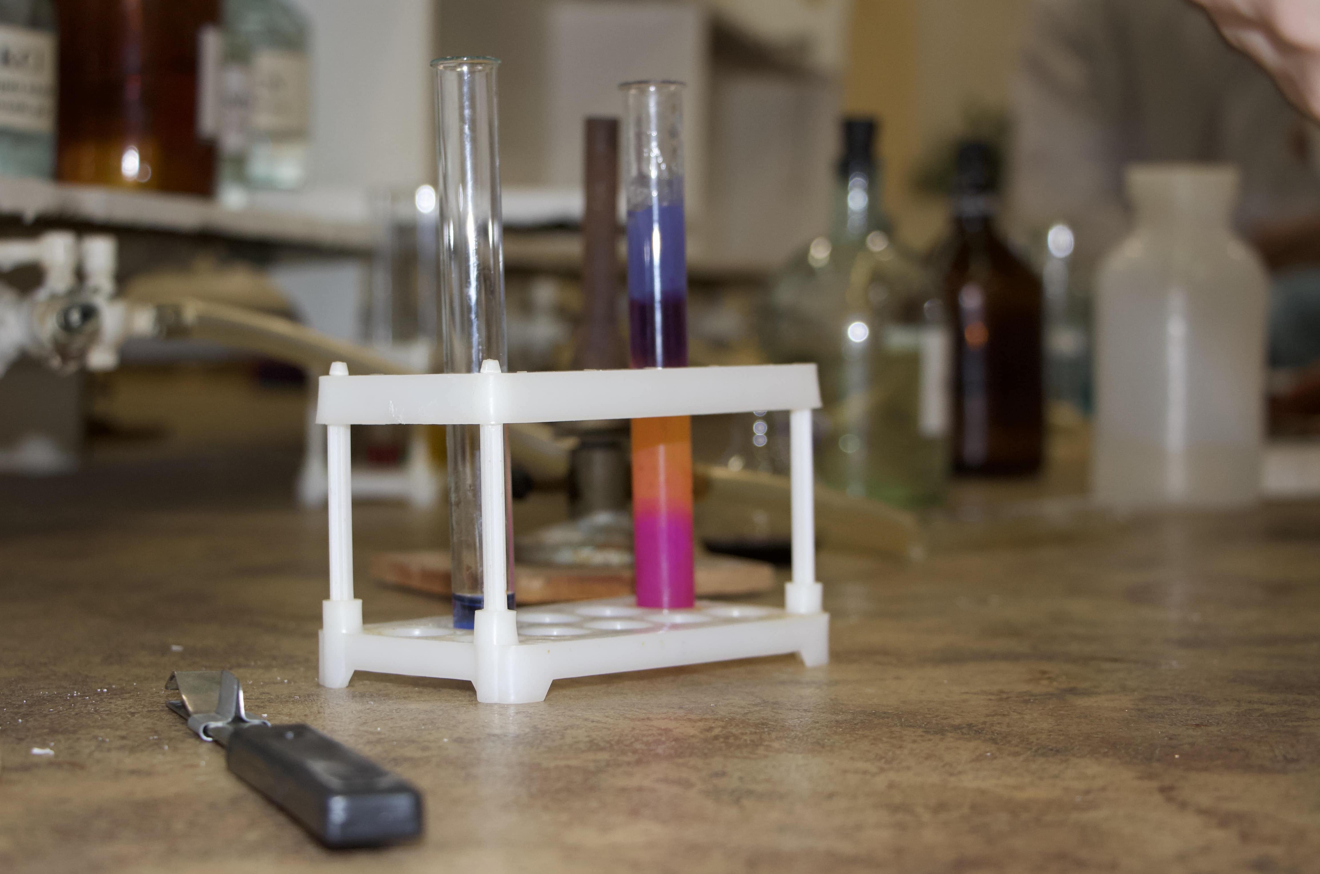 Студенты СГУ стали призёрами и победителями номинаций «Российской студенческой весны - 2023»