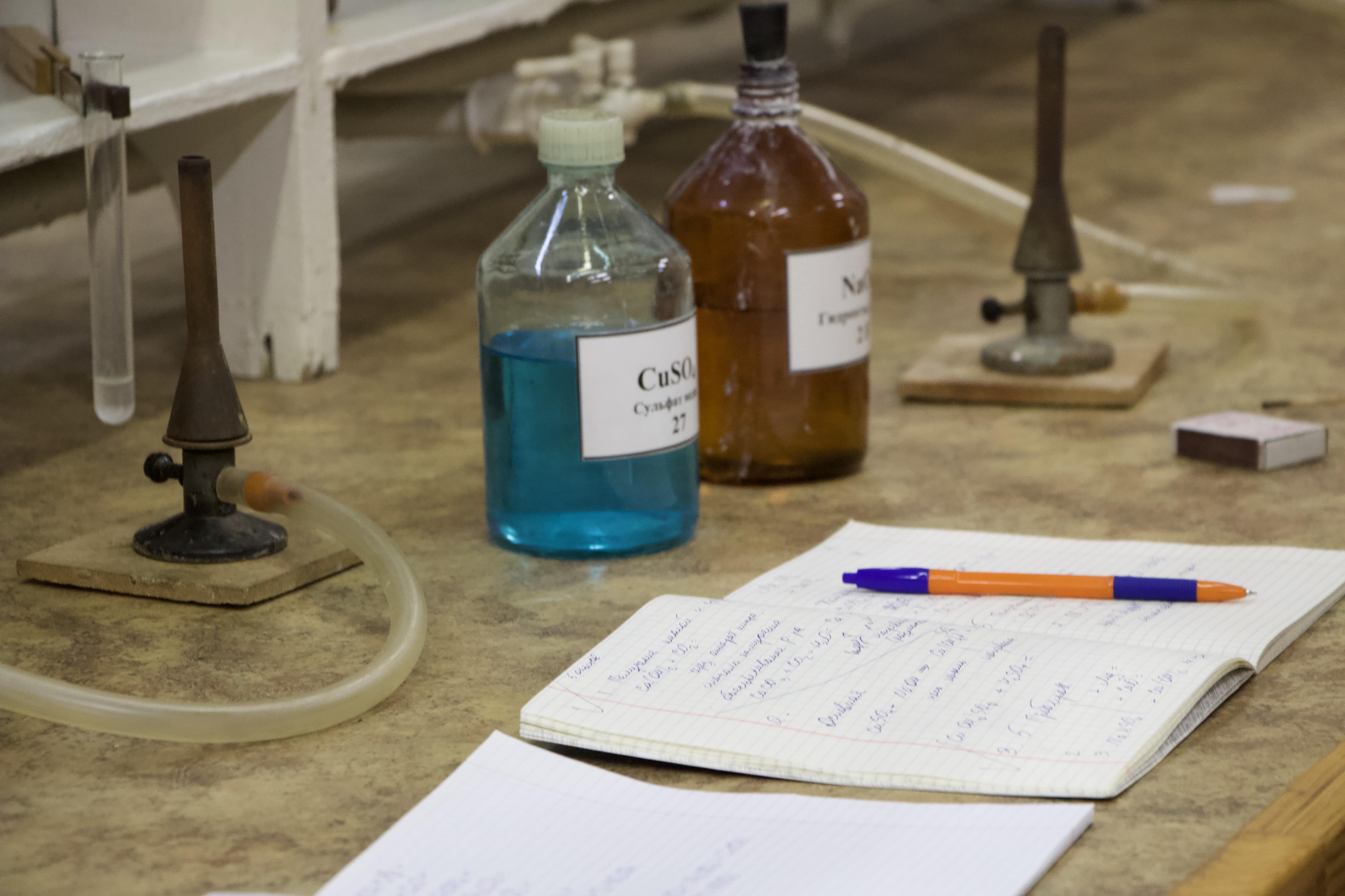 Студенты СГУ стали призёрами и победителями номинаций «Российской студенческой весны - 2023»