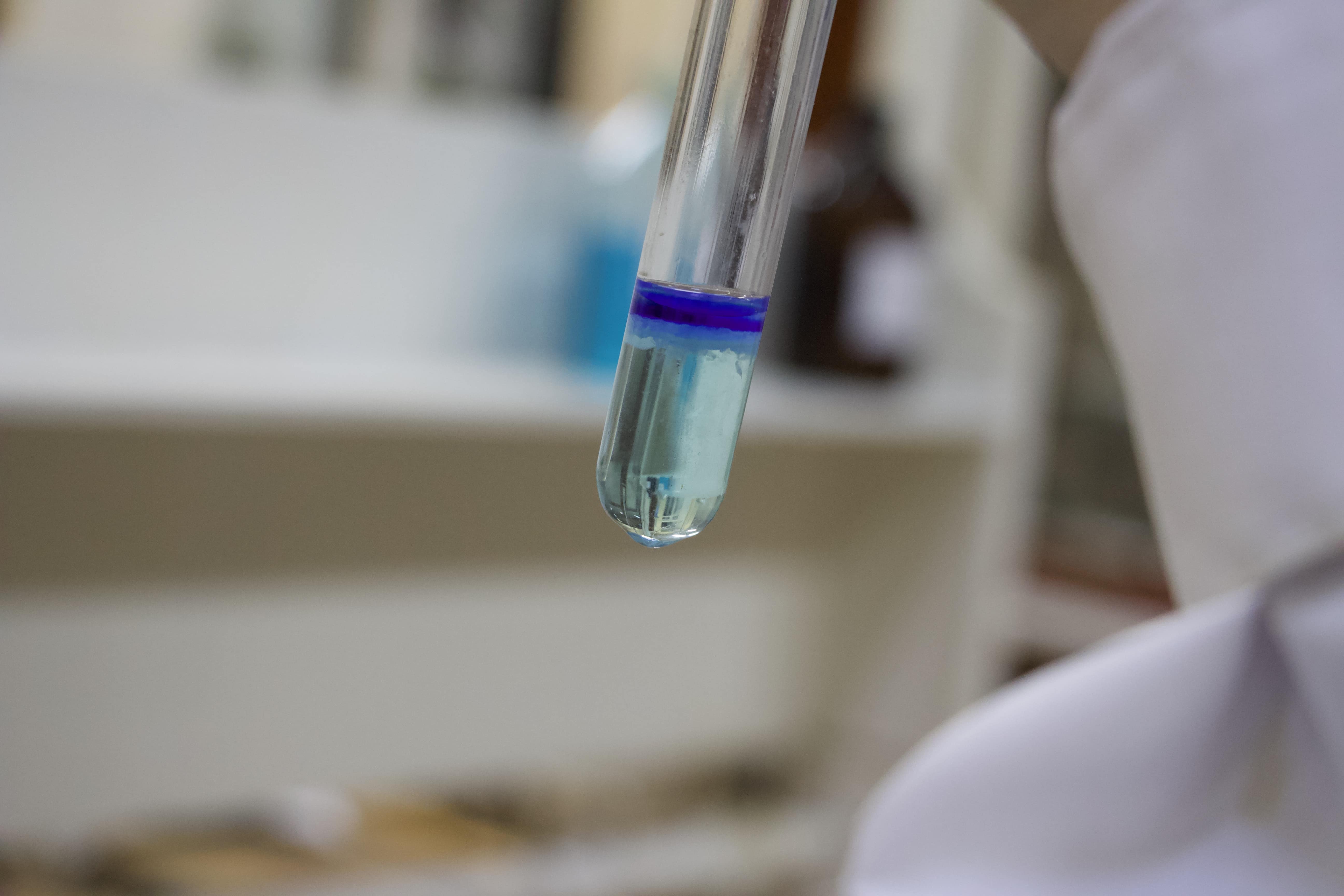 Студенты СГУ стали призёрами и победителями номинаций «Российской студенческой весны - 2023»