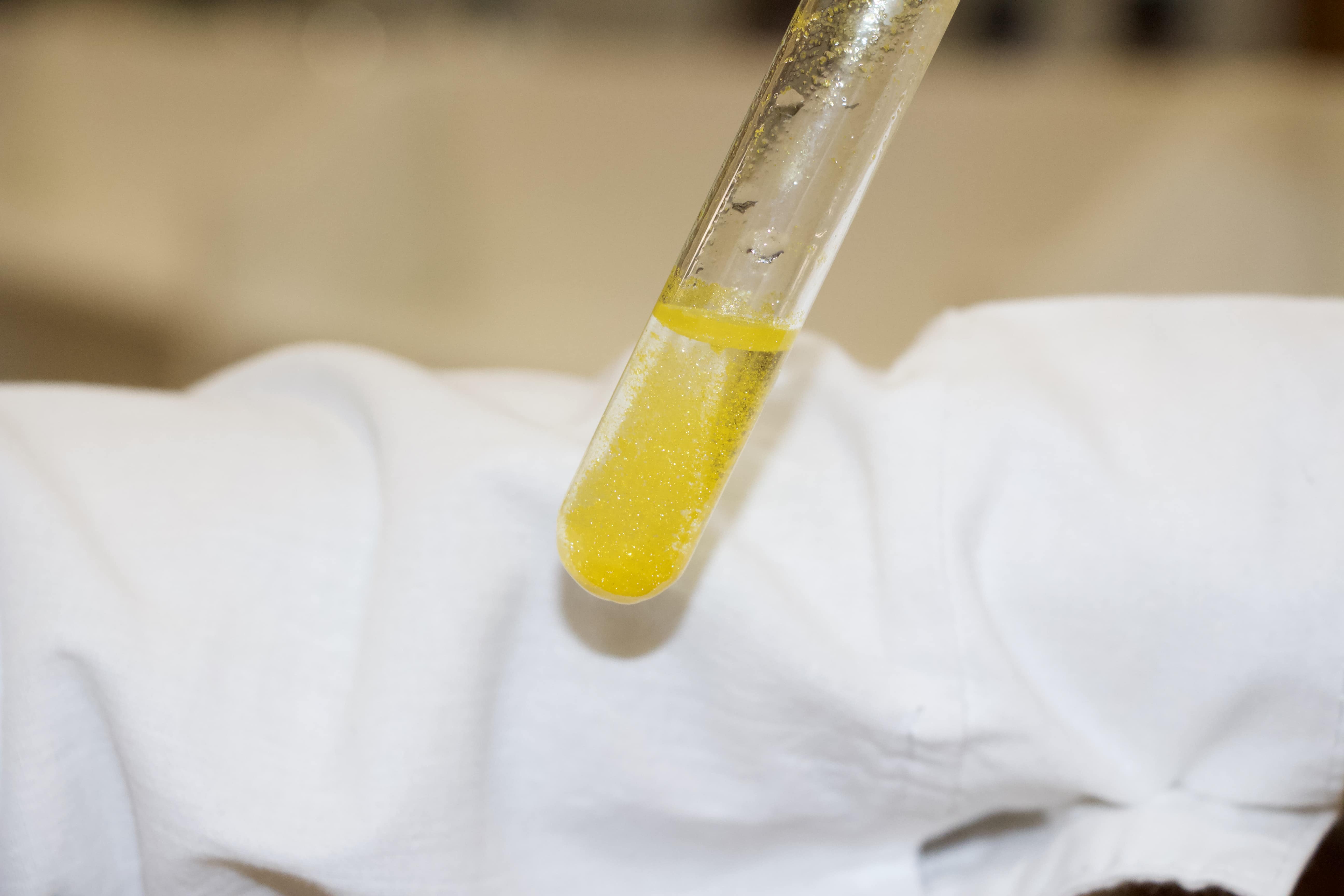 Студенты СГУ стали призёрами и победителями номинаций «Российской студенческой весны - 2023»