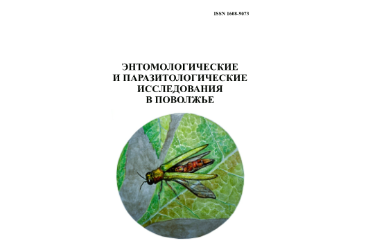 Студенты СГУ стали призёрами и победителями номинаций «Российской студенческой весны - 2023»