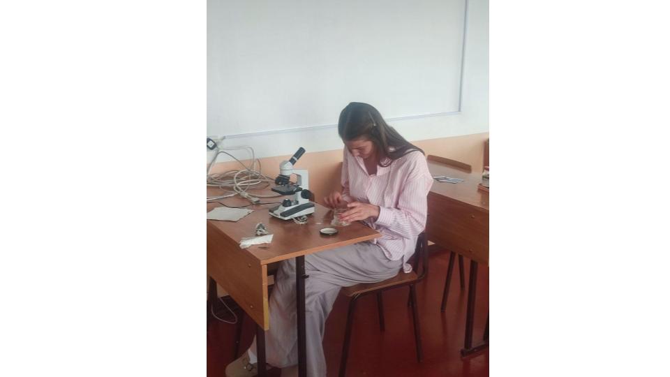 Студенты СГУ стали призёрами и победителями номинаций «Российской студенческой весны - 2023»