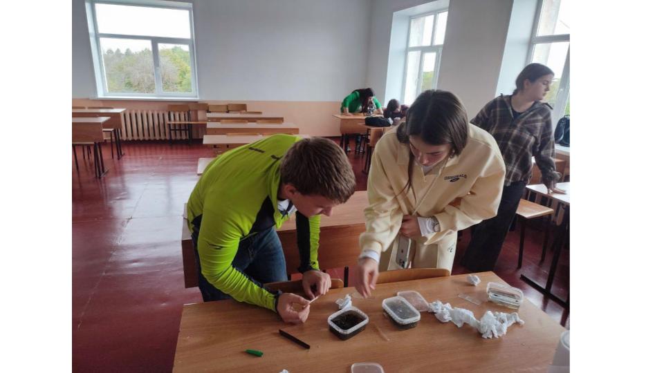 Студенты СГУ стали призёрами и победителями номинаций «Российской студенческой весны - 2023»