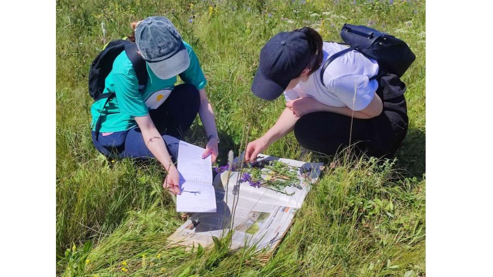 Студенты СГУ стали призёрами и победителями номинаций «Российской студенческой весны - 2023»