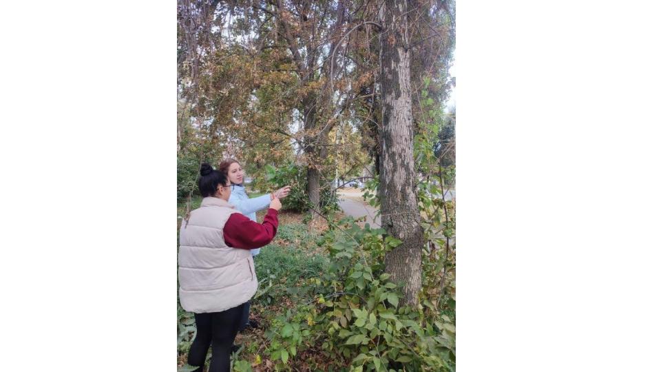 Студенты СГУ стали призёрами и победителями номинаций «Российской студенческой весны - 2023»