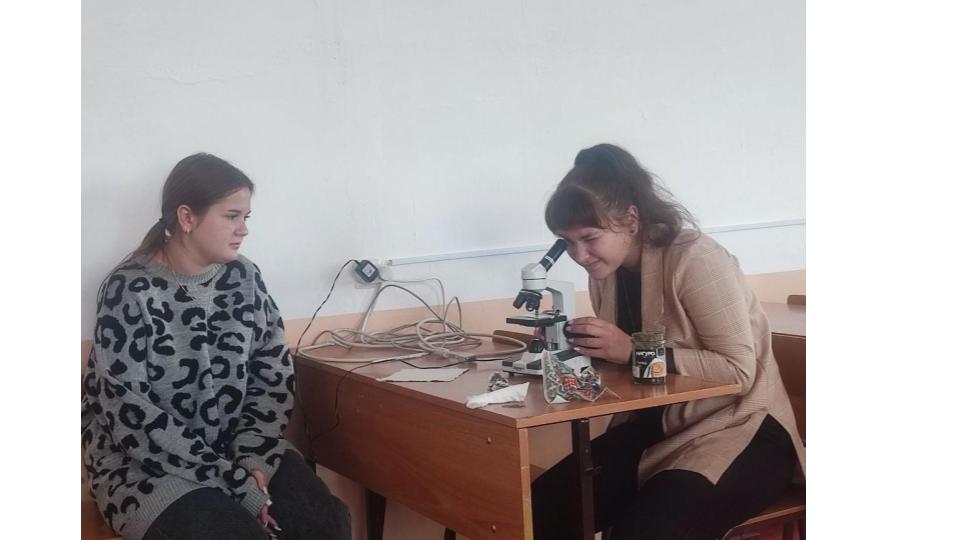 Студенты СГУ стали призёрами и победителями номинаций «Российской студенческой весны - 2023»