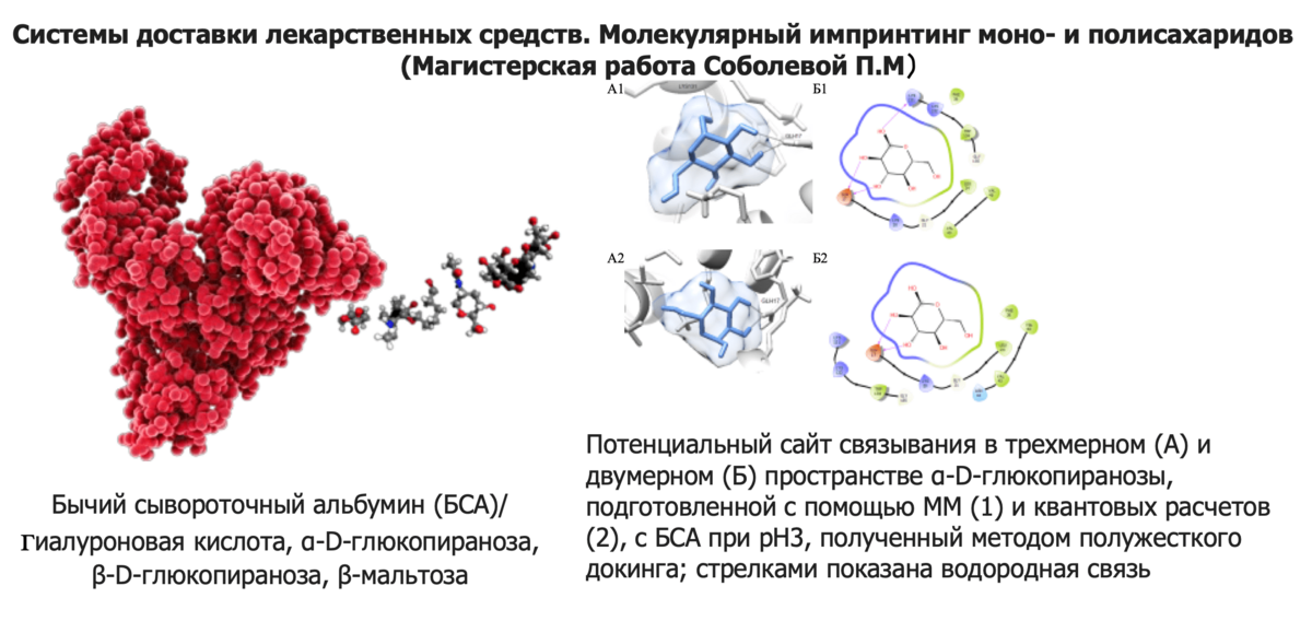 Системы доставки лекарственных средств. Молекулярный импринтинг моно- и полисахаридов (Магистерская работа Соболевой)