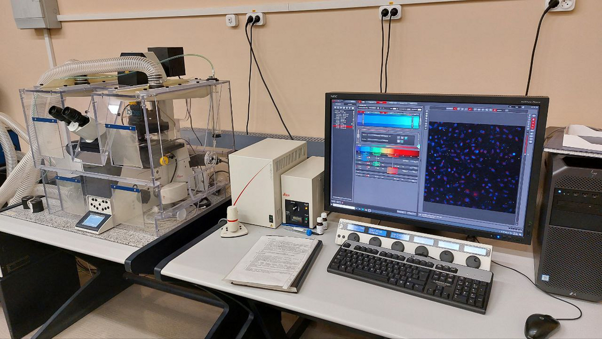 Конфокальная лазерная сканирующая микроскопия